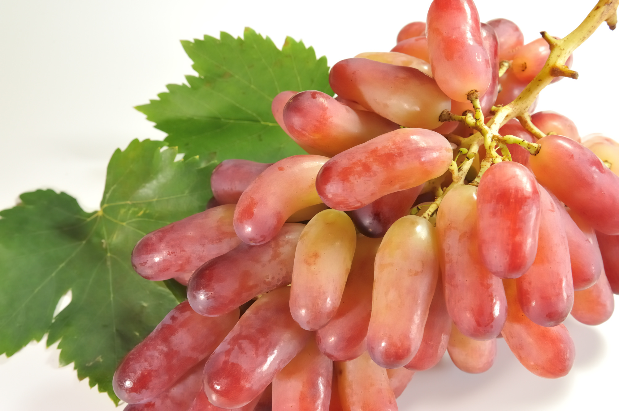 Manicure Finger, Weird shaped Japanese grapes Salam Groovy Japan