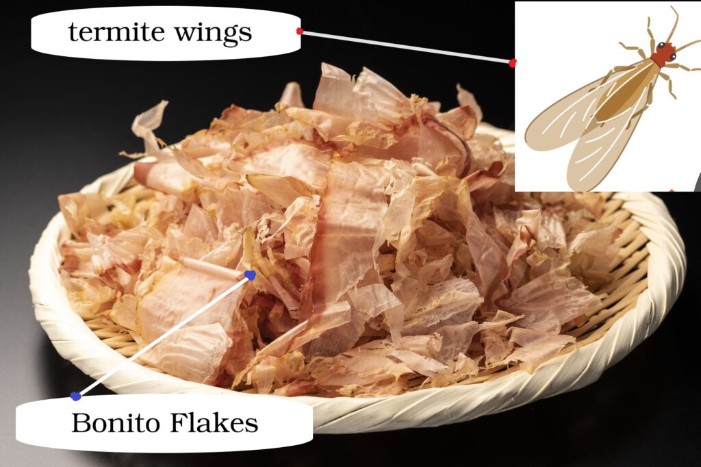 What is Bonito or Katsuobushi Flakes?