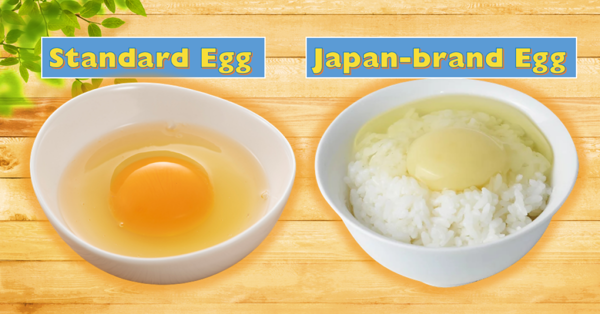 White eggyolk, Japanese branded egg Kometsuya® Muslim Tourist