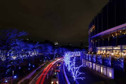 Japanese universities create glowing tree for non-electric lights