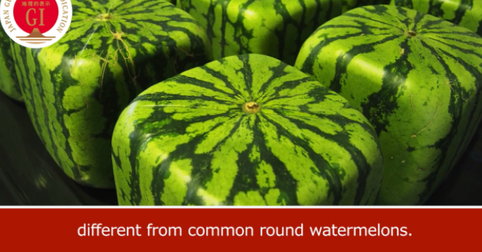 watermelon様へ Look at Japan's creative square watermelon | | Salam Groovy