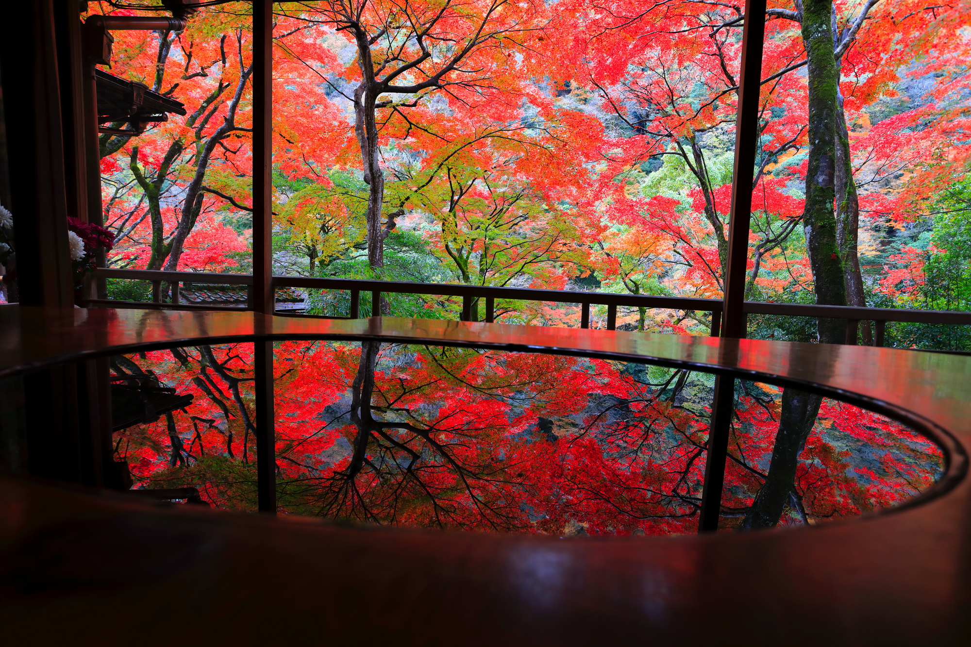 祐斎亭の床もみじ