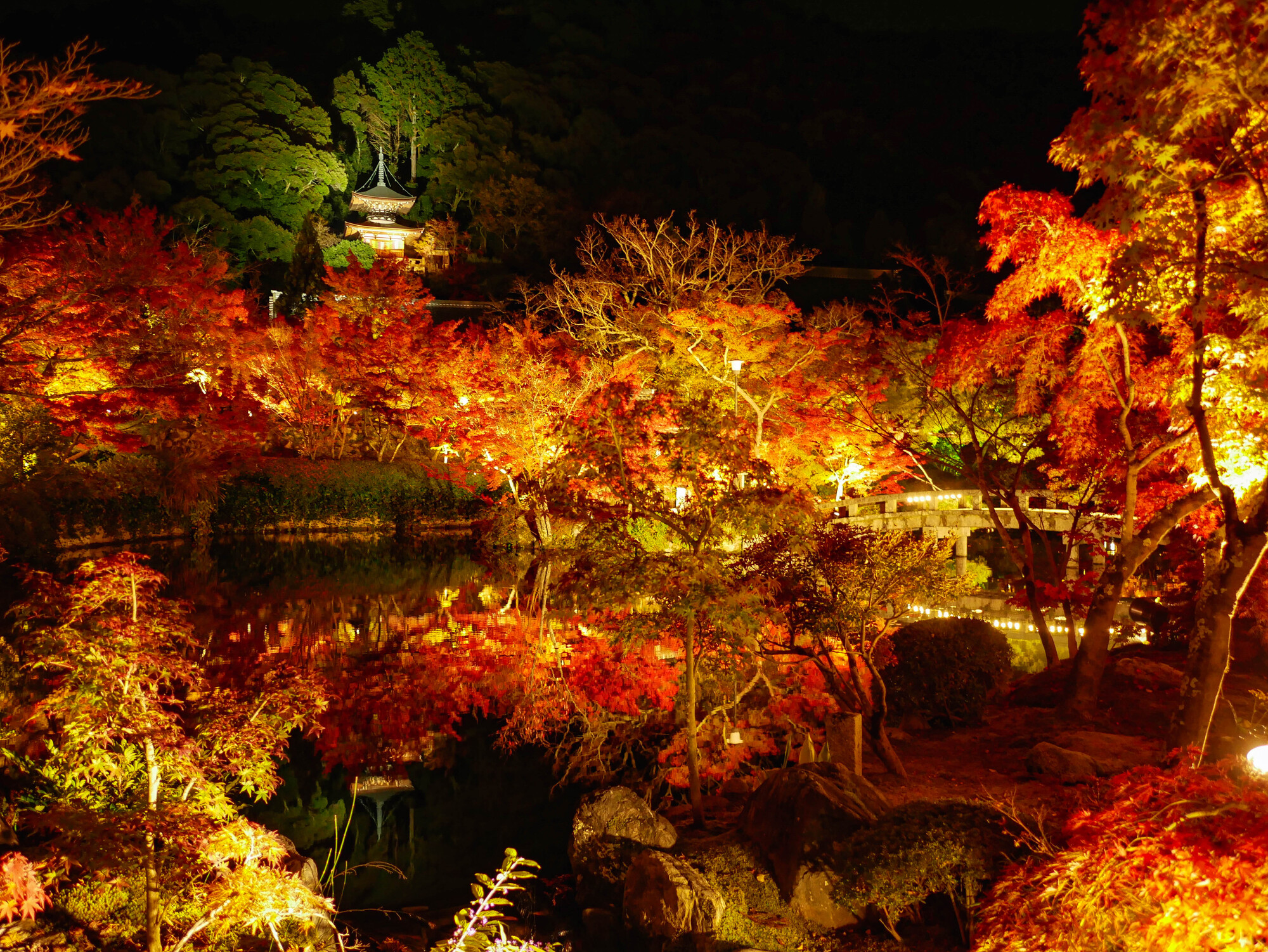 永観堂のライトアップと多宝塔