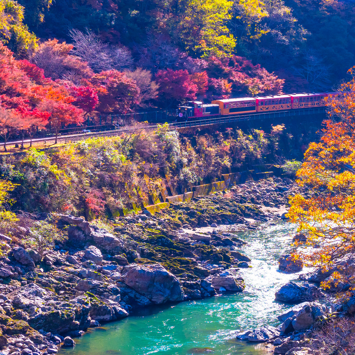 保津峡の舟下りと紅葉 (船上からの景観)