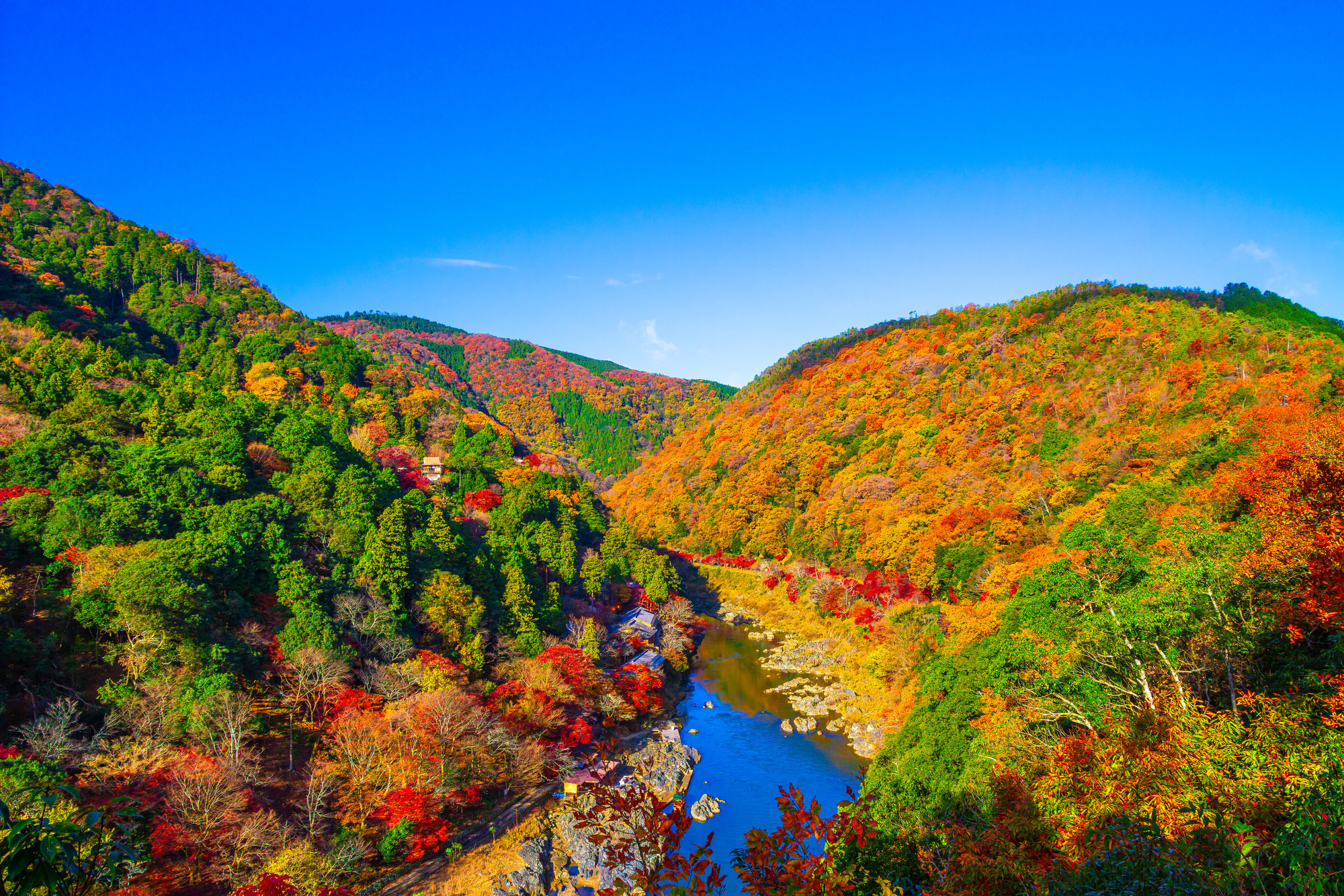 保津峡の紅葉と渓流