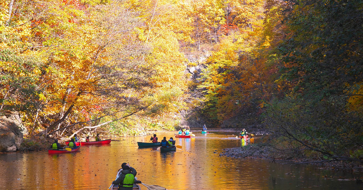 Canoeing in a beautiful valley with autumn leaves Salam Groovy Japan