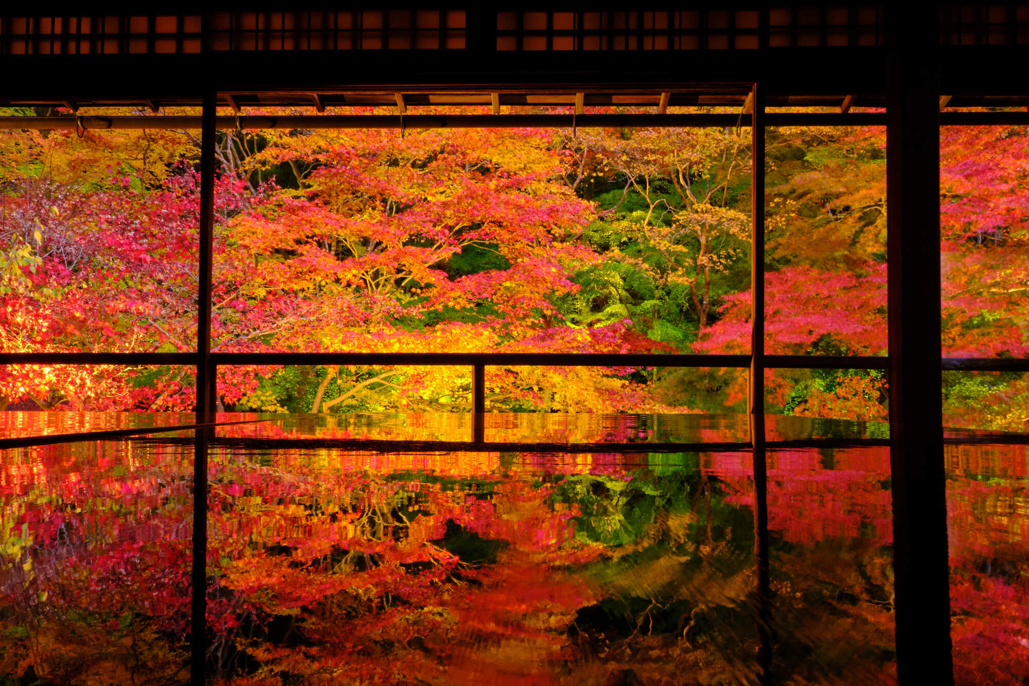 瑠璃光院の床もみじ